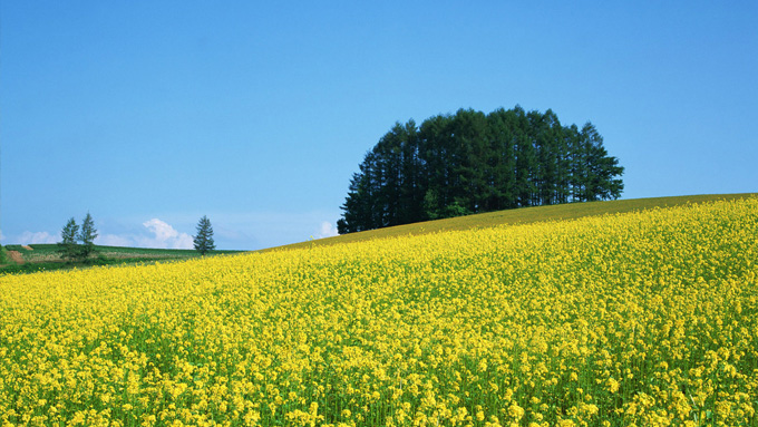 昆山網(wǎng)絡(luò)公司